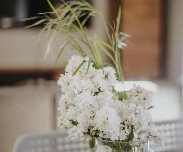 Letniskowe Babie Doly